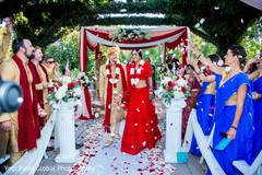 photo #296592 photo #296592