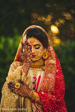 photo #296657 photo #296657