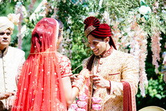 photo #296826 photo #296826