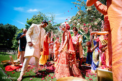 photo #296830 photo #296830