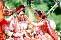 photo #296832 photo #296832