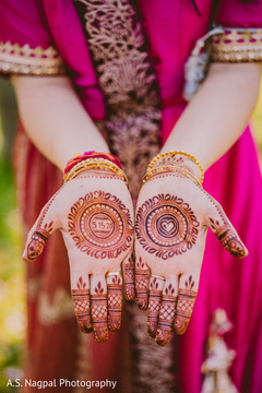 photo #296923 photo #296923