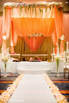 photo #297216 photo #297216