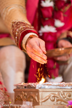 photo #297226 photo #297226