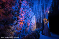 photo #297384 photo #297384