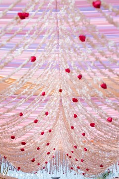 photo #297593 photo #297593
