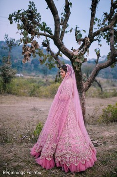photo #297710 photo #297710