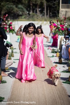 photo #297763 photo #297763