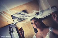photo #297874 photo #297874