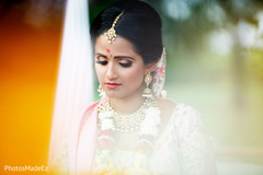photo #297923 photo #297923