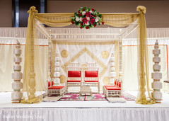 photo #297941 photo #297941
