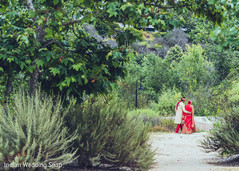 photo #297953 photo #297953