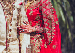 photo #297955 photo #297955