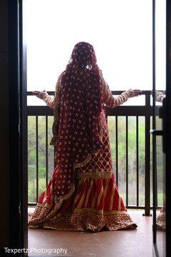 photo #298323 photo #298323