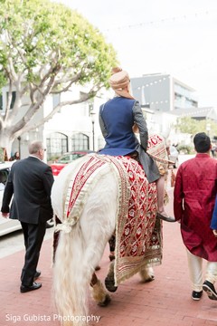 photo #298733 photo #298733