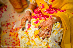 photo #298878 photo #298878