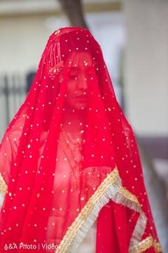 photo #298959 photo #298959