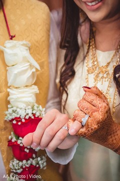 photo #298968 photo #298968