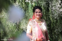 photo #299159 photo #299159