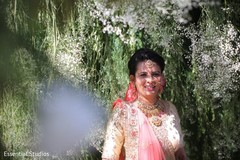 photo #299160 photo #299160