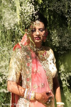 photo #299215 photo #299215