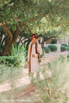 photo #299543 photo #299543
