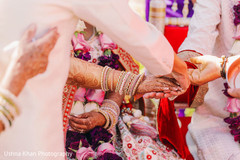 photo #299558 photo #299558
