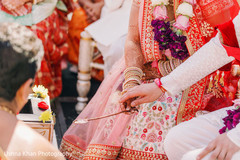 photo #299560 photo #299560