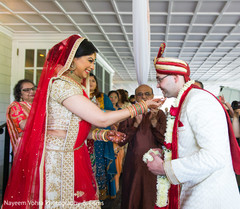 photo #300811 photo #300811
