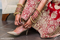 photo #301485 photo #301485