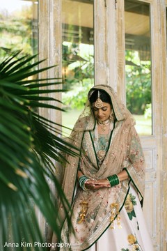 photo #301584 photo #301584