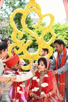 photo #303331 photo #303331