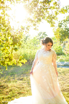 photo #303717 photo #303717