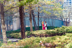 photo #303965 photo #303965