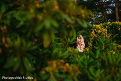 photo #304869 photo #304869