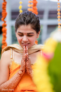 photo #305064 photo #305064