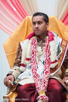 photo #305983 photo #305983