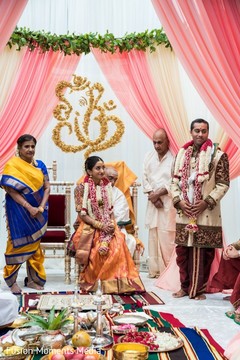 photo #305994 photo #305994