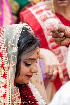 photo #306264 photo #306264