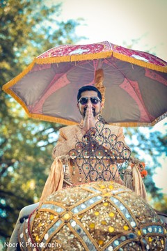 photo #306843 photo #306843