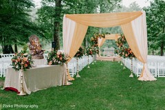 photo #307413 photo #307413