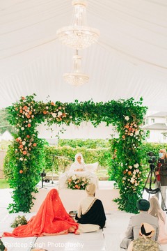 photo #307839 photo #307839