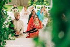 photo #307864 photo #307864