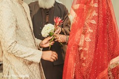 photo #307926 photo #307926