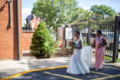 photo #308484 photo #308484