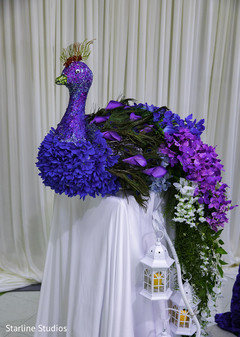 photo #309533 photo #309533