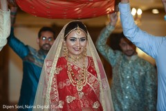 photo #309537 photo #309537