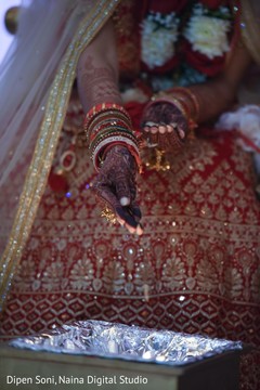 photo #309543 photo #309543