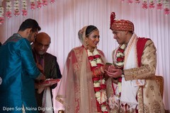 photo #309544 photo #309544