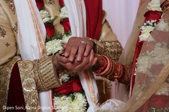 photo #309547 photo #309547